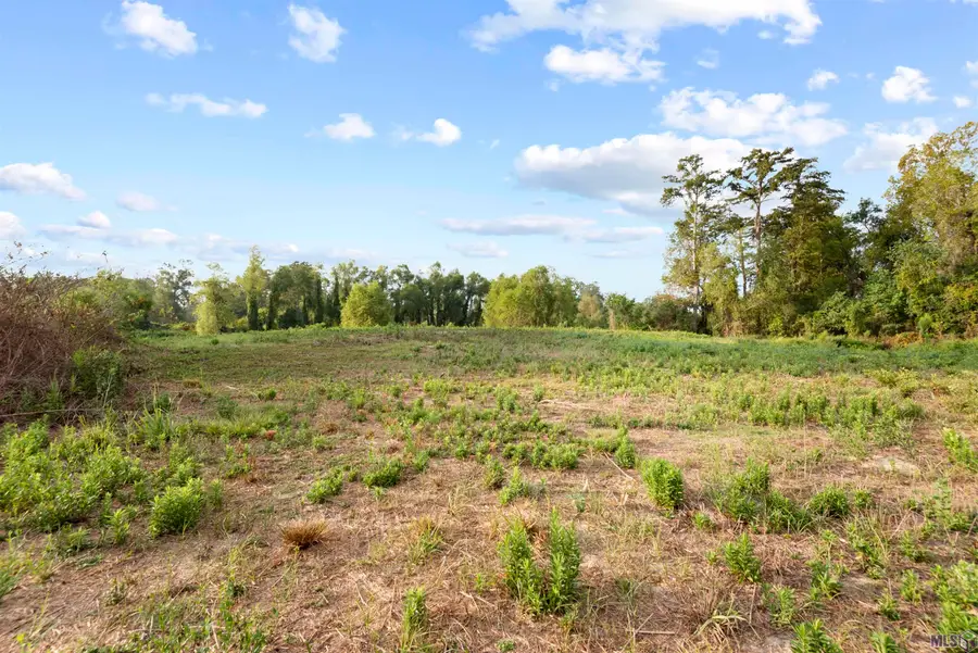 TBD Lot 20-A Amite Acres, Prairieville, LA 70769 - #3