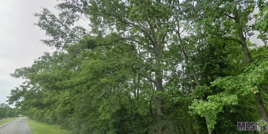 7979 Lower Zachary Rd, Zachary, LA 70791 - #3