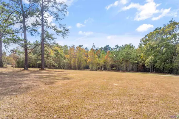 4-h Club Rd, Denham Springs, LA 70726
