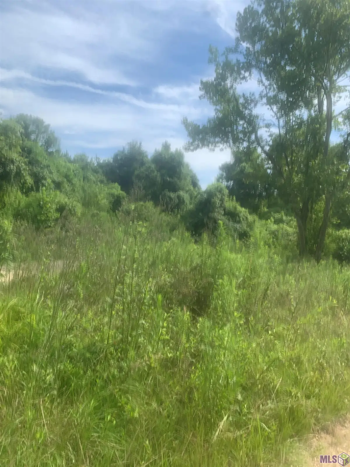 TBD Allen Brown Ln, Jackson, LA 70748 - #1