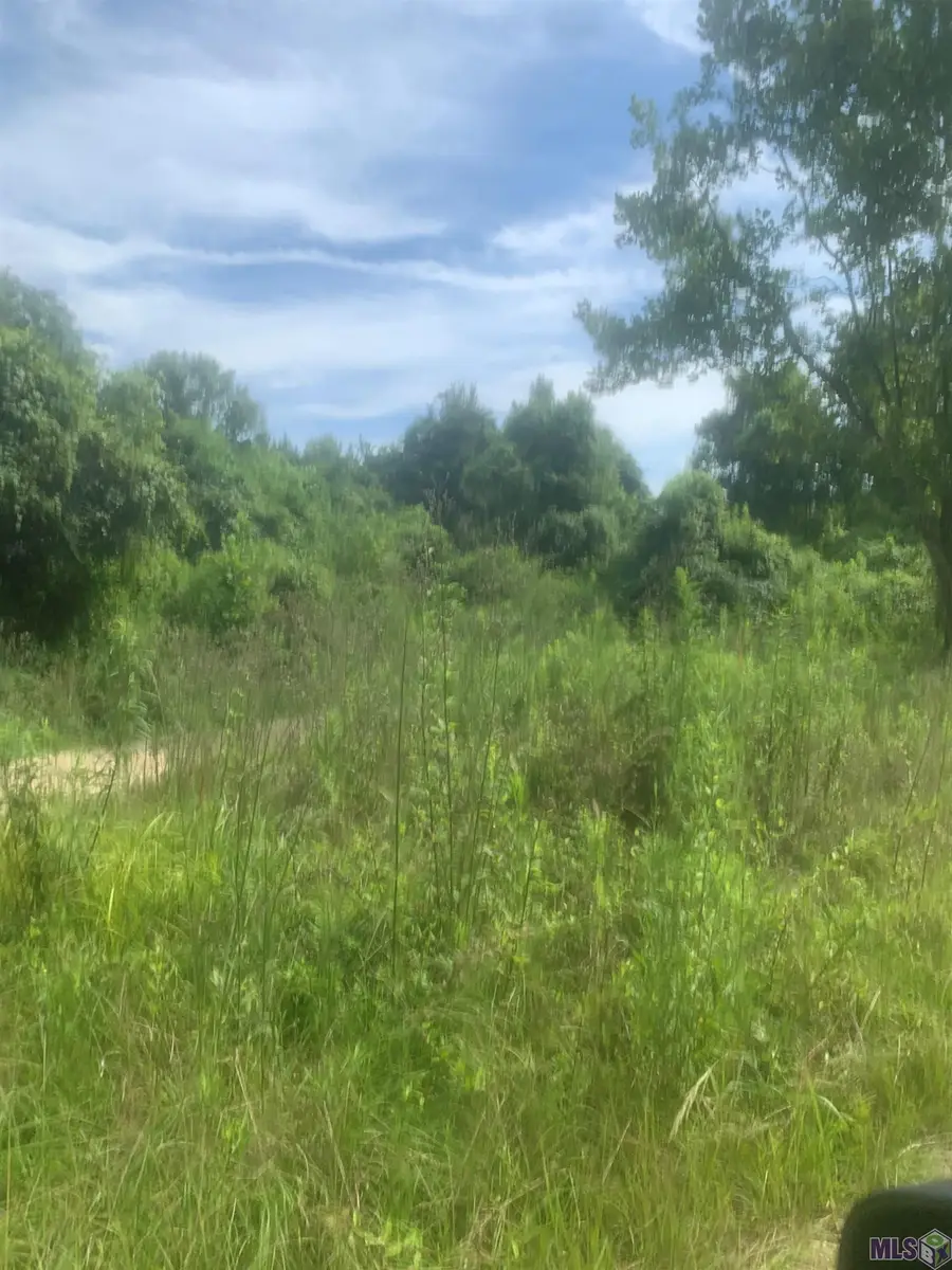 TBD Allen Brown Ln, Jackson, LA 70748 - #3
