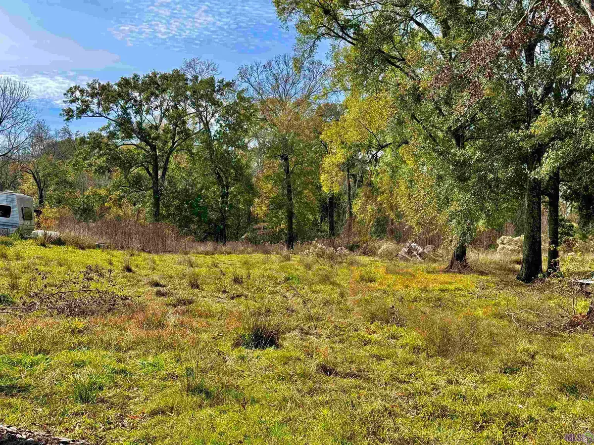 18661 Broussard Rd, Prairieville, LA 70769 - #1