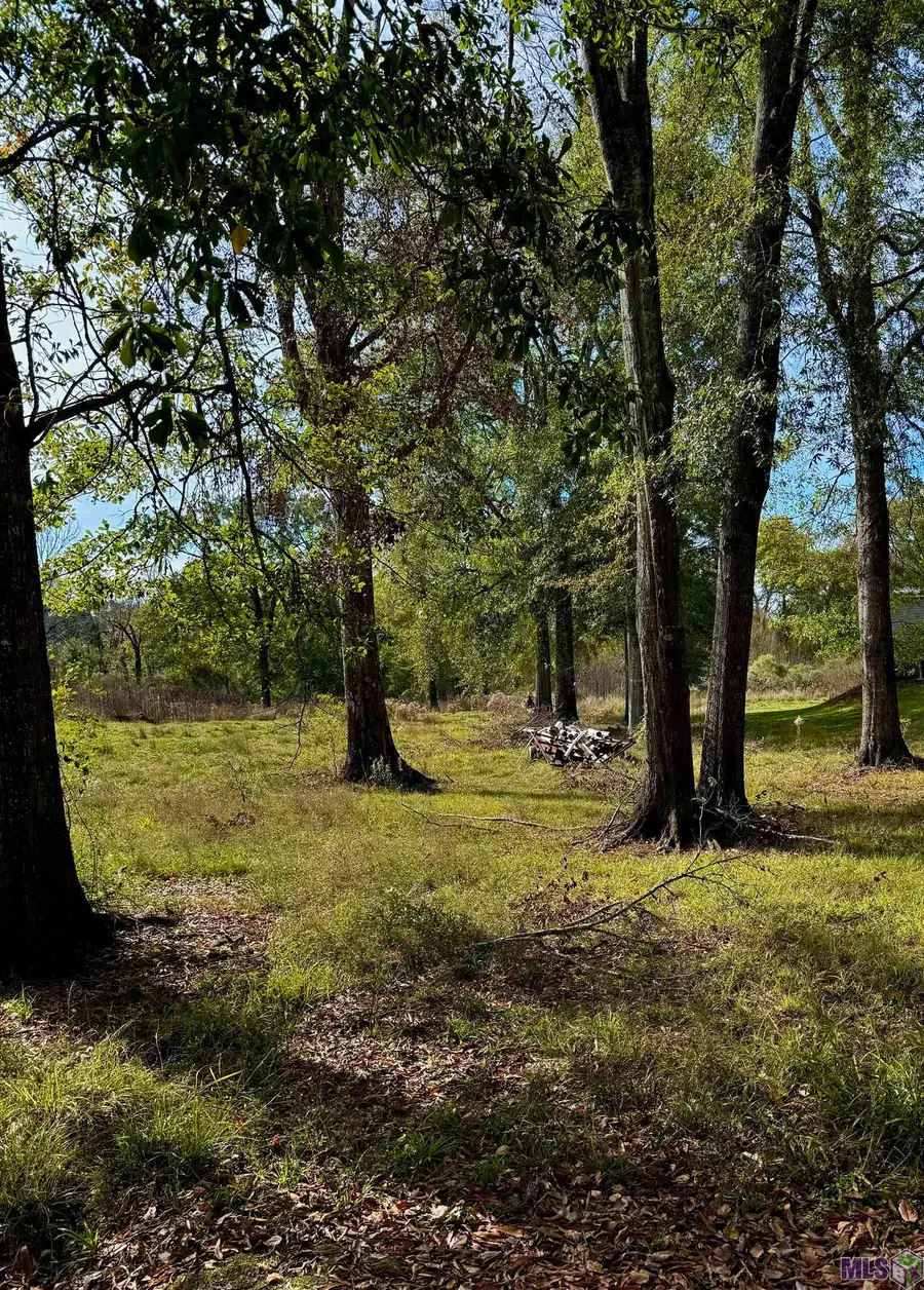18661 Broussard Rd, Prairieville, LA 70769 - #2