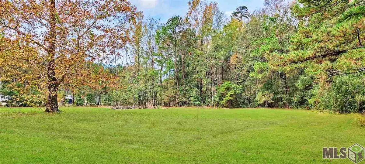 36793 Cryer Rd, Denham Springs, LA 70706 - #1