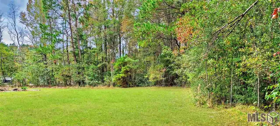 36793 Cryer Rd, Denham Springs, LA 70706 - #2