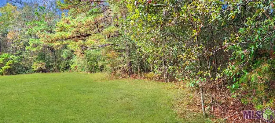 36793 Cryer Rd, Denham Springs, LA 70706 - #3