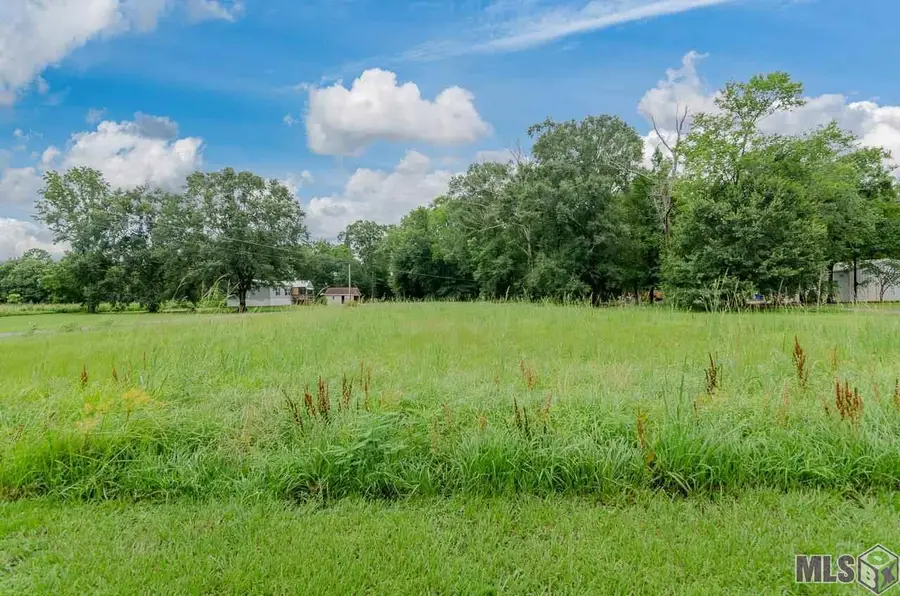 10451 John Savoy Rd, Saint Amant, LA 70774 - #3