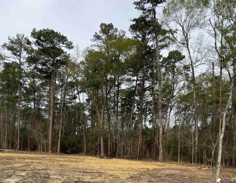 Lot B3 Reinninger Rd, Denham Springs, LA 70706 - #2