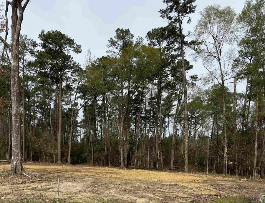 Lot B3 Reinninger Rd, Denham Springs, LA 70706 - #3