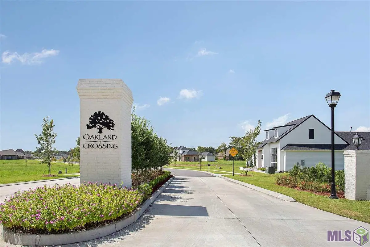 54 Oakland Crossing Blvd, Prairieville, LA 70769 - #1