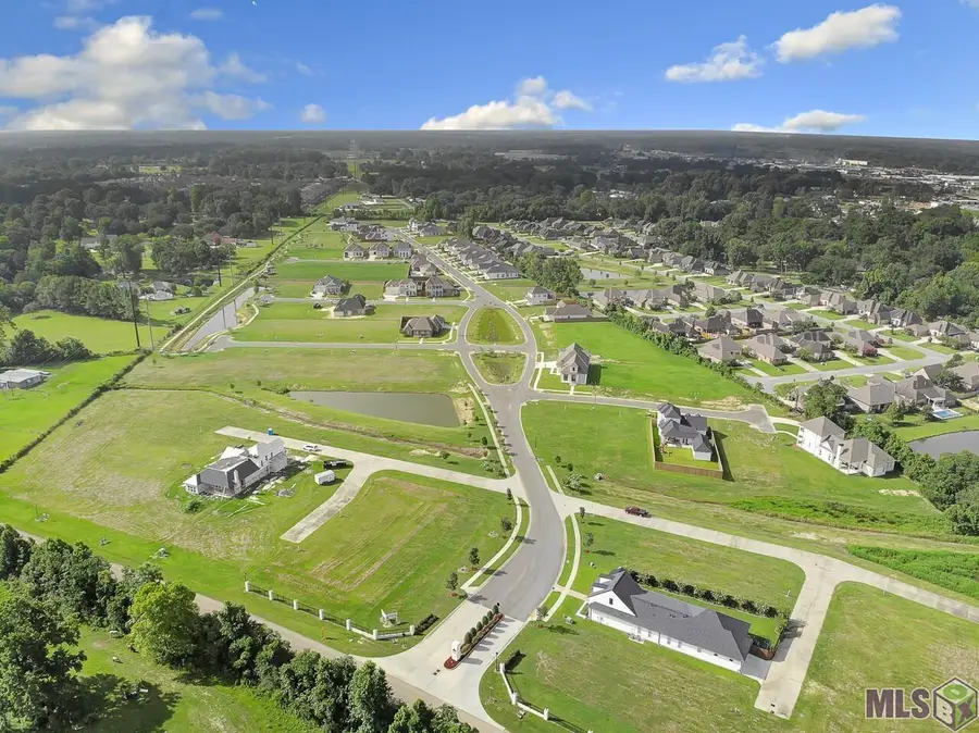 77 Emery Ln, Prairieville, LA 70769 - #3