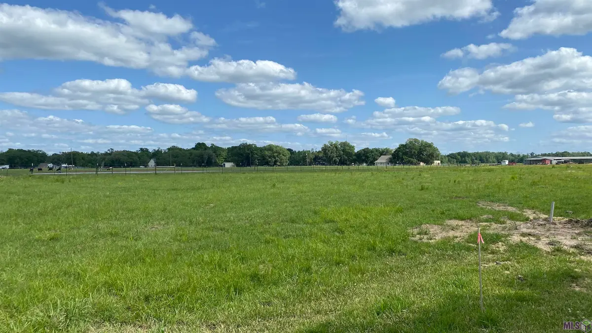 11080 Cessna St, Gonzales, LA 70737 - #1