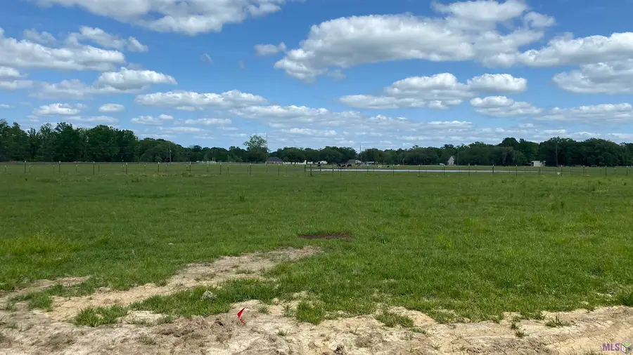 11080 Cessna St, Gonzales, LA 70737 - #2