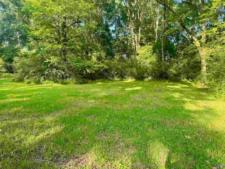 Lot C Hazeloak Dr, Baker, LA 70714 - #3