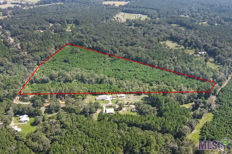 29.22 acres Battle Rd, Ethel, LA 70730 - #3