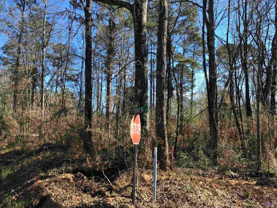 TBD Mcdaniel Rd, Amite, LA 70422 - #2