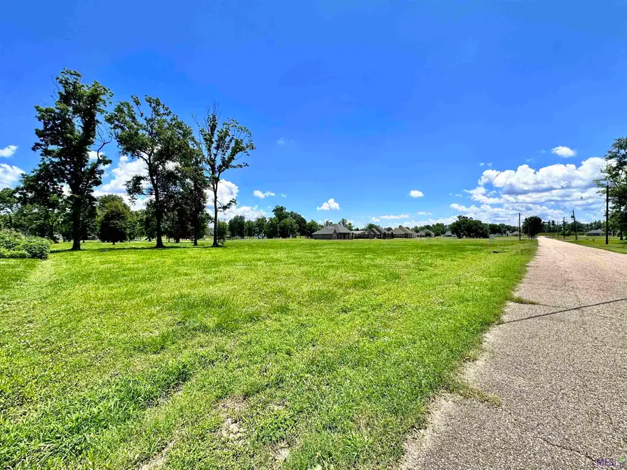 3224 Stanford Levy Rd, Darrow, LA 70725 - #2