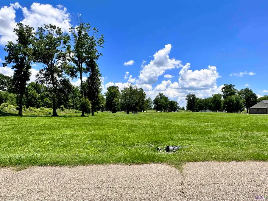 3224 Stanford Levy Rd, Darrow, LA 70725 - #3
