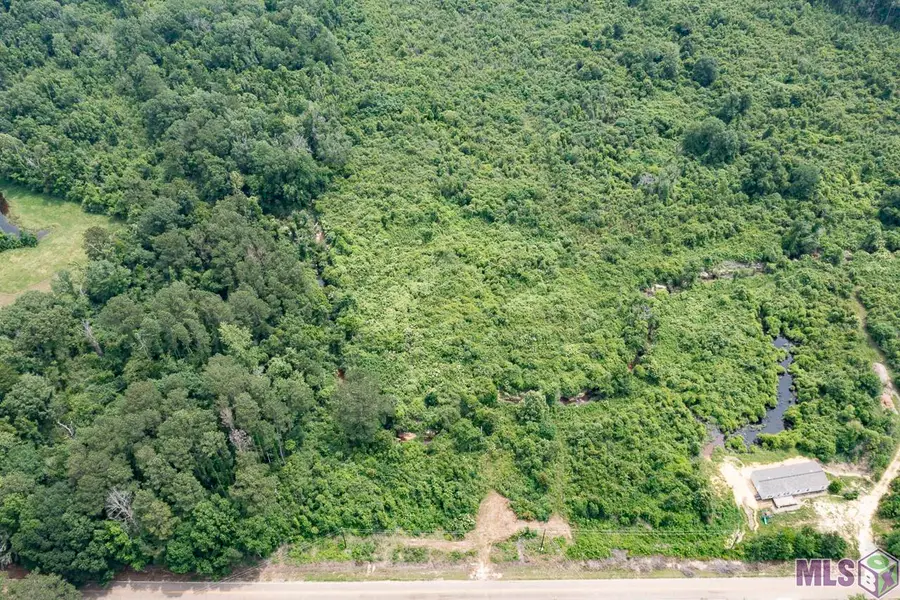 23060 Carson Rd, Pride, LA 70739 - #3