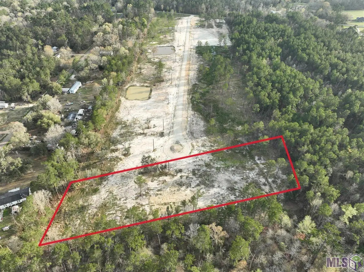 26250 Wagon Wheel Drive, Holden, LA 70744 - #1