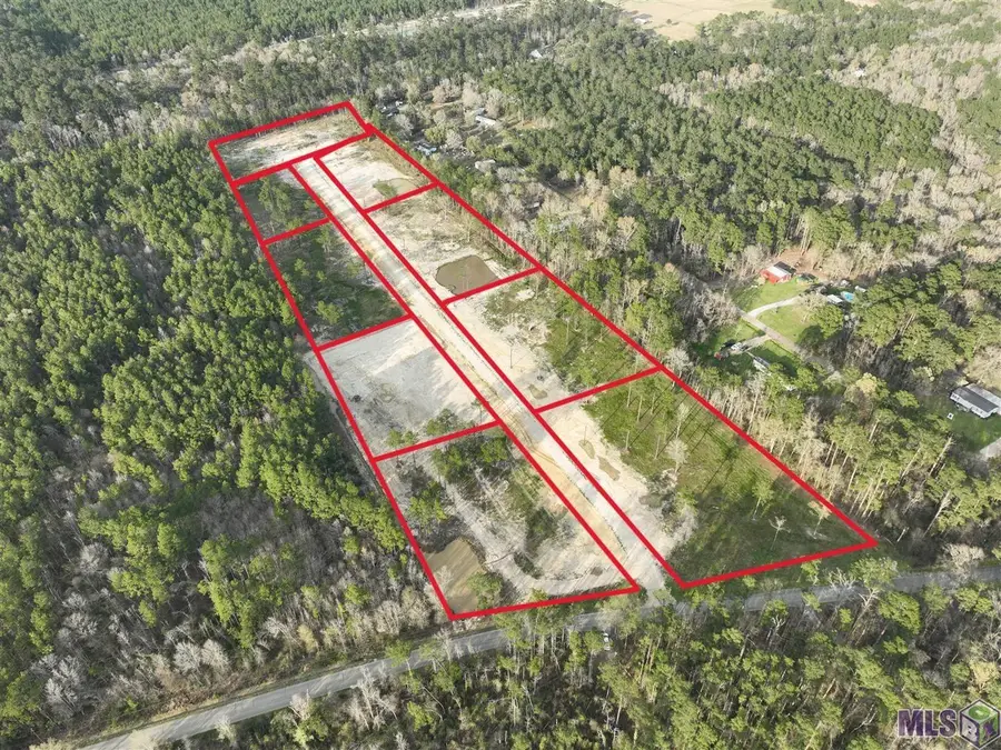 26250 Wagon Wheel Drive, Holden, LA 70744 - #2