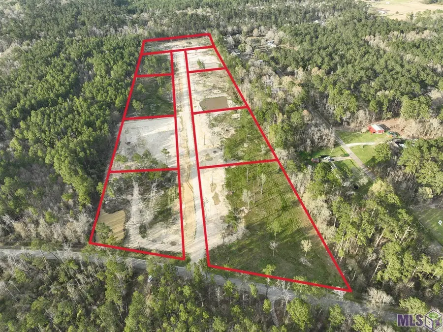 26250 Wagon Wheel Drive, Holden, LA 70744 - #3