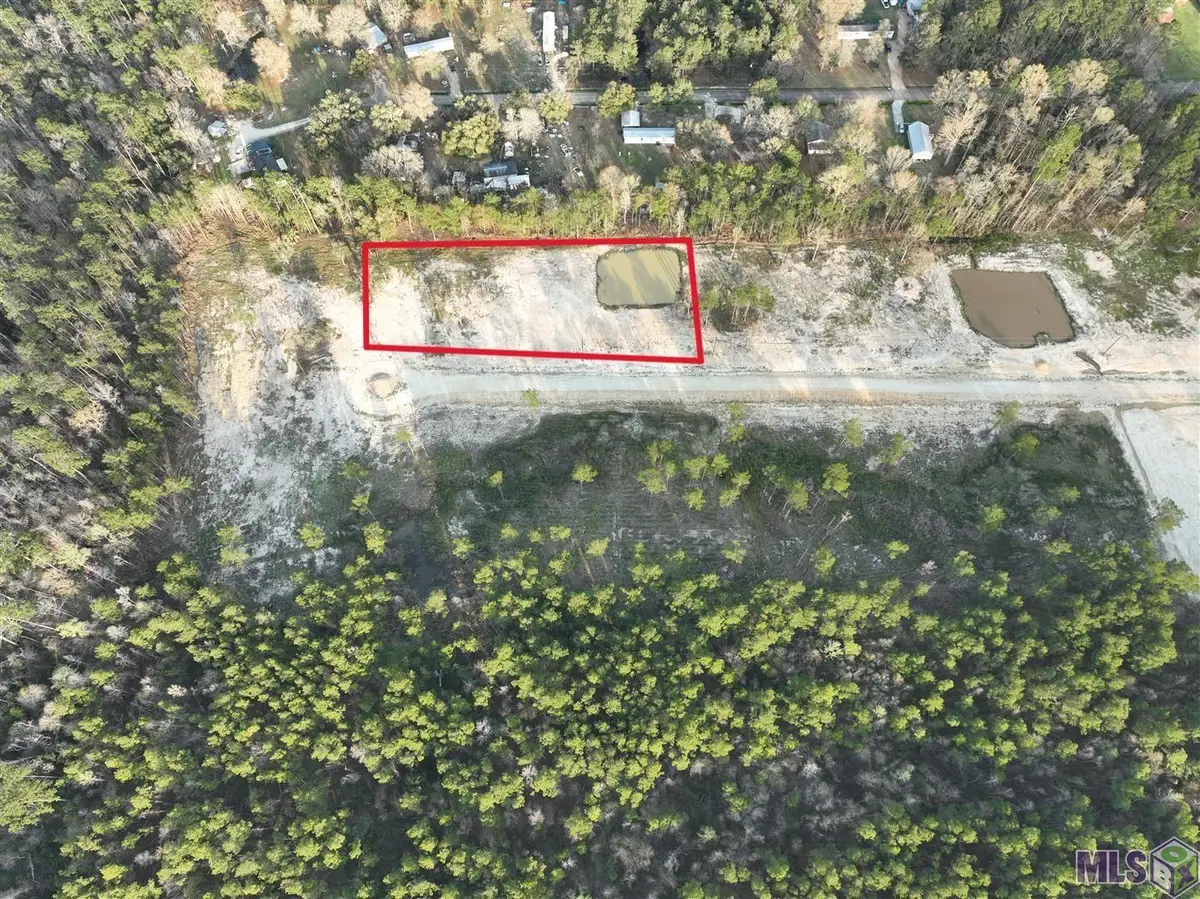 26507 Wagon Wheel Drive, Holden, LA 70744 - #1