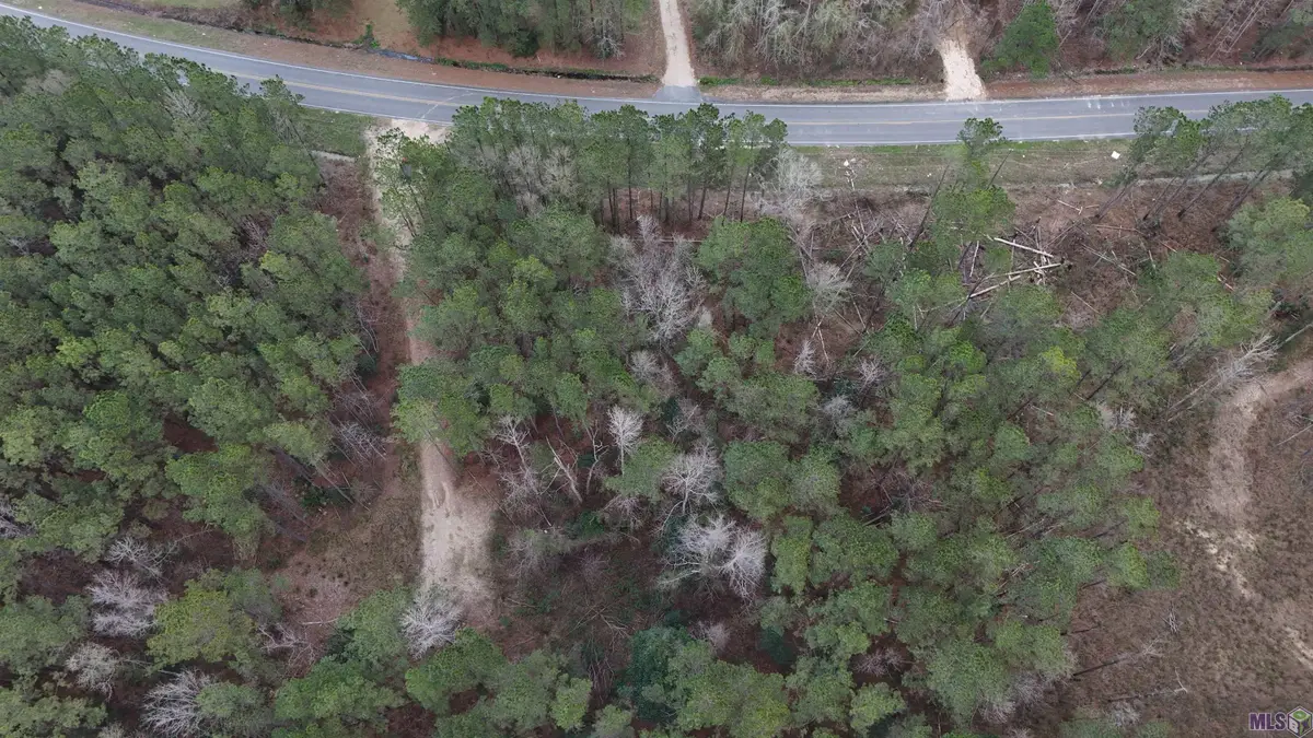 14373 Springfield Rd, Walker, LA 70785 - #1