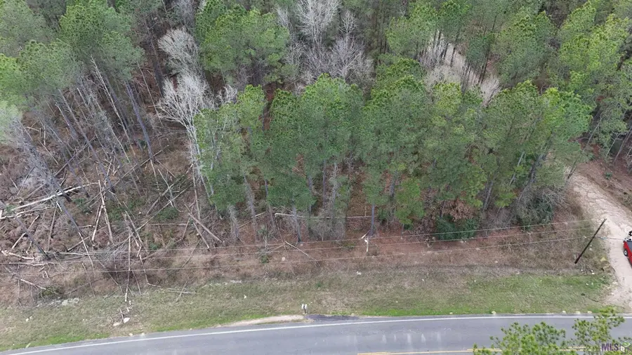 14373 Springfield Rd, Walker, LA 70785 - #2