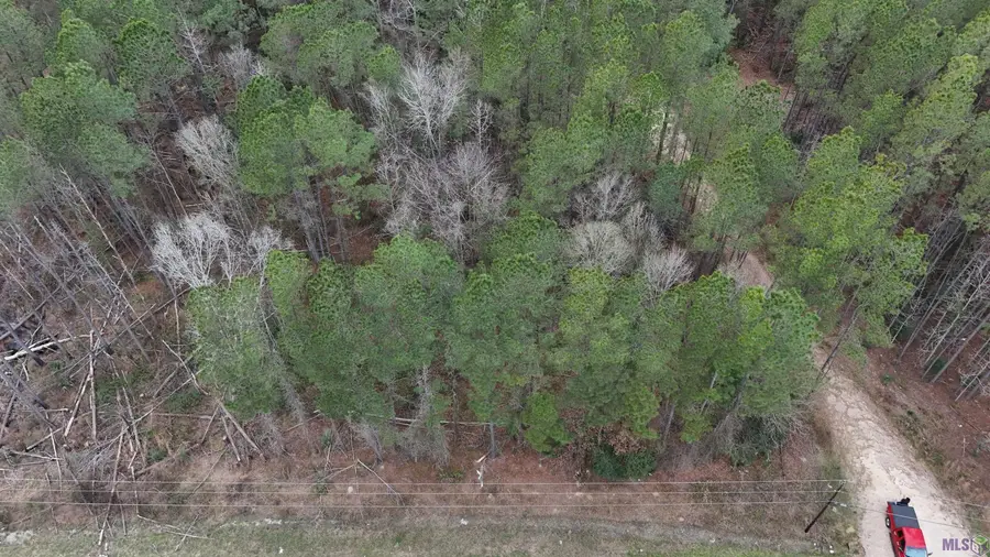 14373 Springfield Rd, Walker, LA 70785 - #3