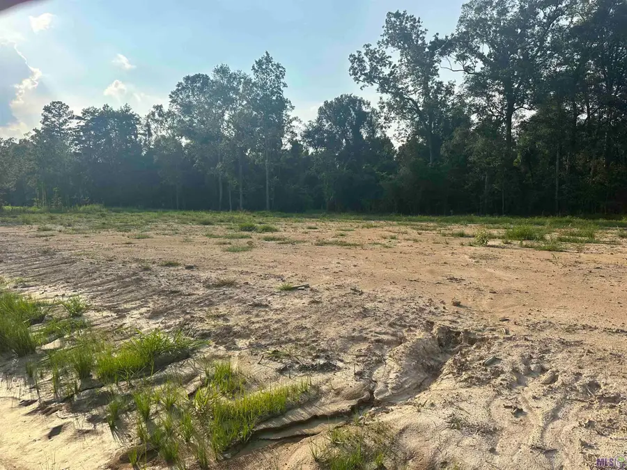 19315 Pampas Dr, Livingston, LA 70754 - #2