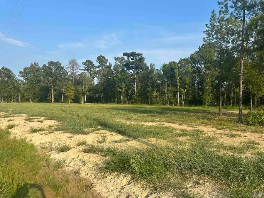 19315 Pampas Dr, Livingston, LA 70754 - #3