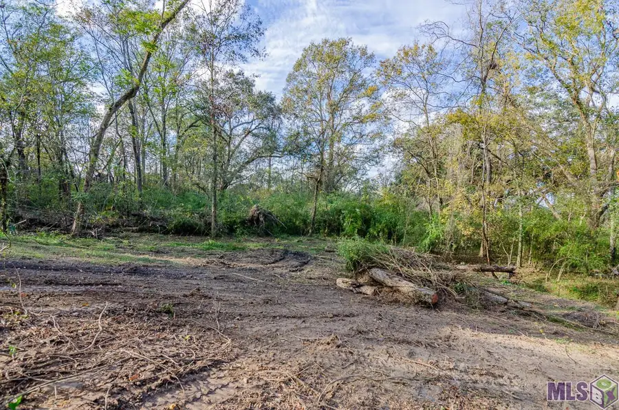 36608 Swamp Rd, Prairieville, LA 70769 - #3