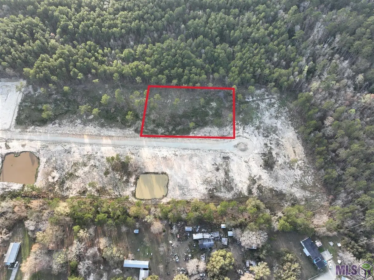 26500 Wagon Wheel Drive, Holden, LA 70744 - #1