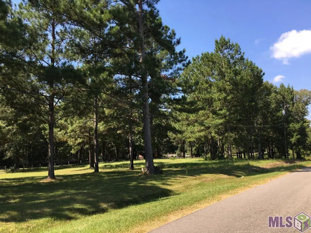 LOT 3 Bo Derrick Dr, Ethel, LA 70730 - #1