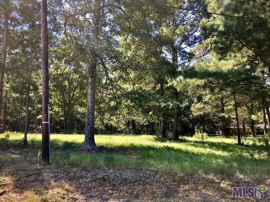 LOT 3 Bo Derrick Dr, Ethel, LA 70730 - #2