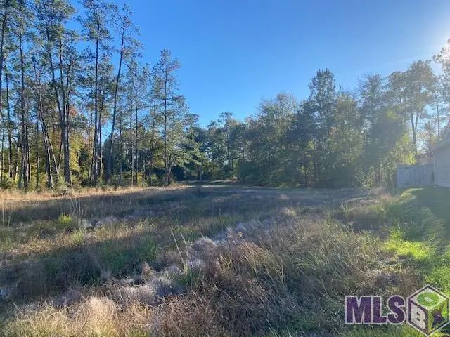 513 Belle Pointe Loop, Madisonville, LA 70447 - #1