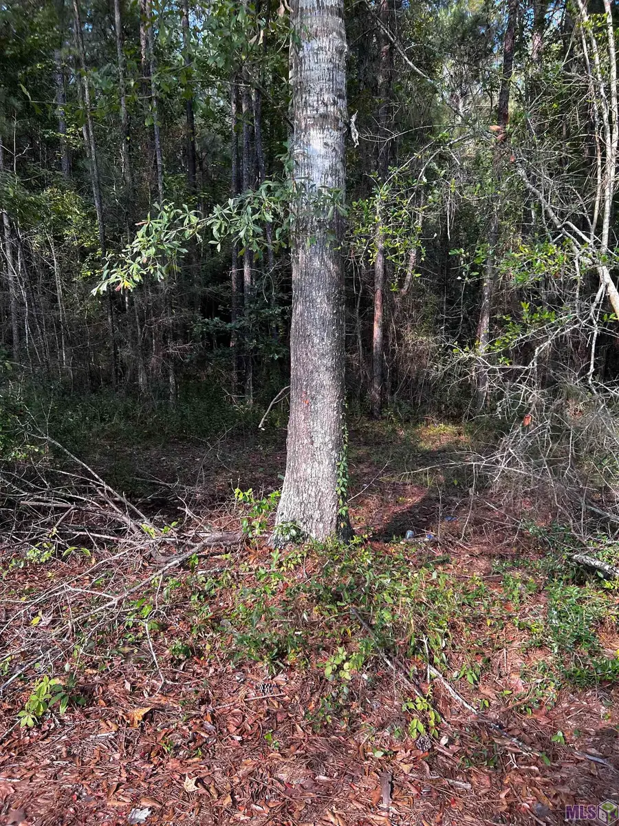 TBD La Hwy 67, Slaughter, LA 70777 - #2