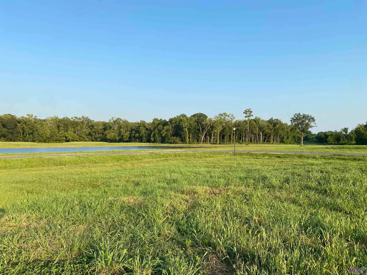 lot 20 Buddy Gore Rd, Gonzales, LA 70737 - #1