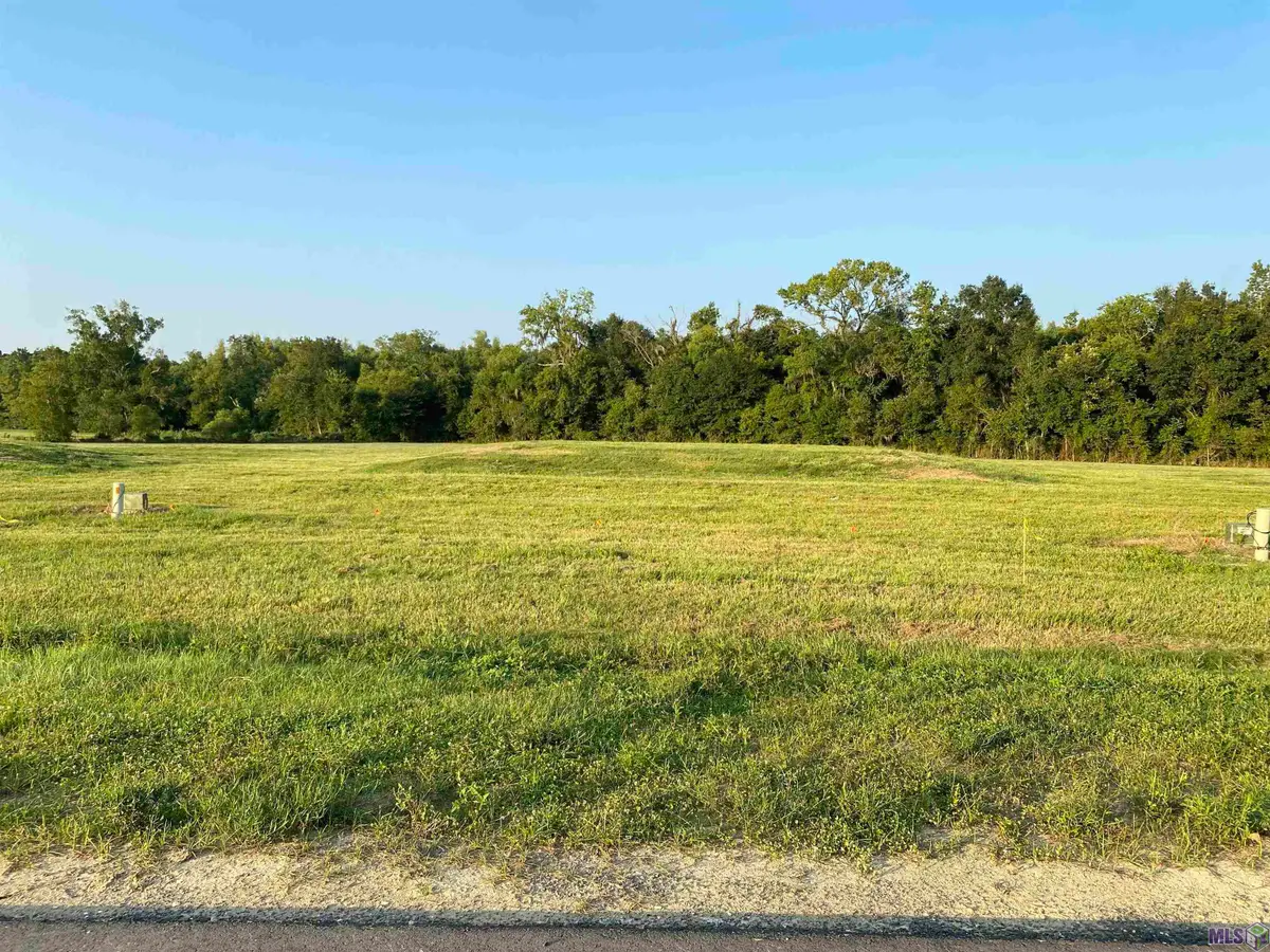 Lot 29 Buddy Gore Rd, Gonzales, LA 70737 - #1