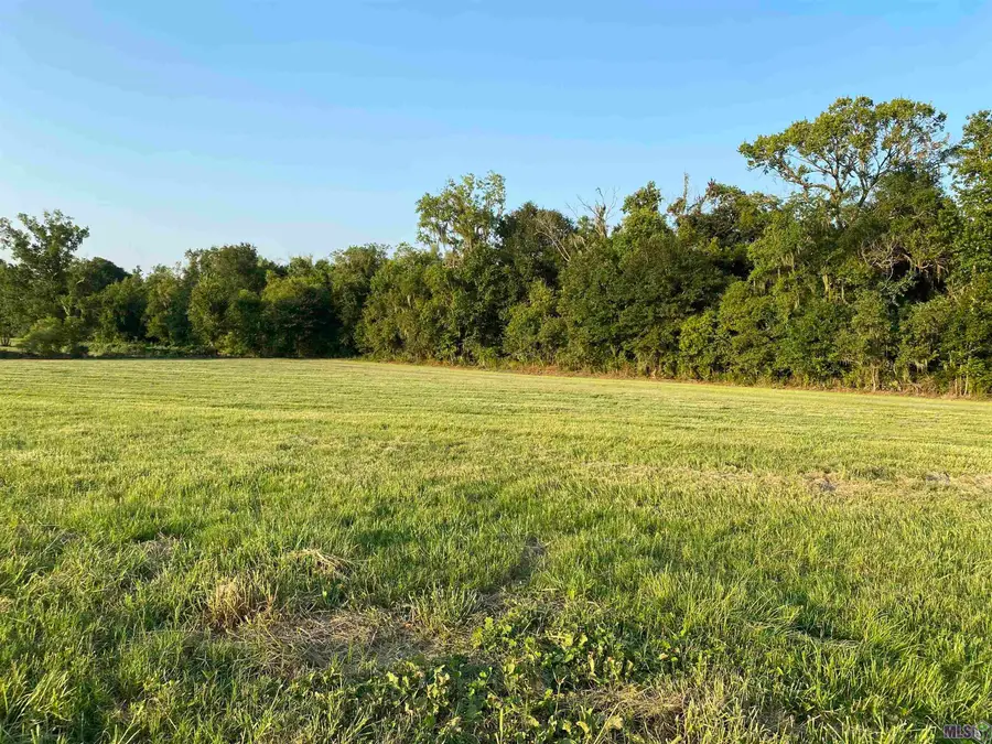 Lot 29 Buddy Gore Rd, Gonzales, LA 70737 - #3