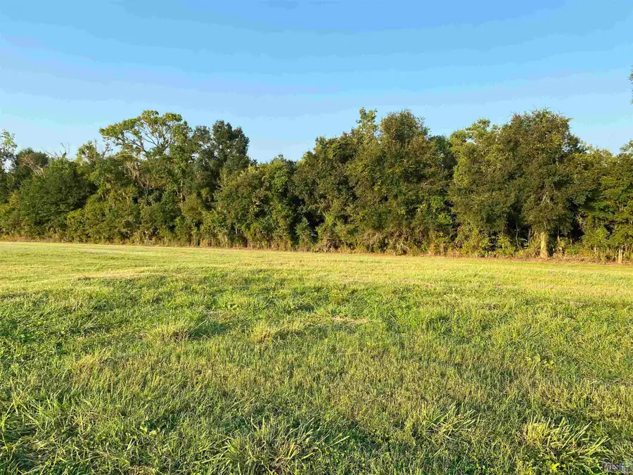 Lot 30 Buddy Gore Rd, Gonzales, LA 70737 - #2