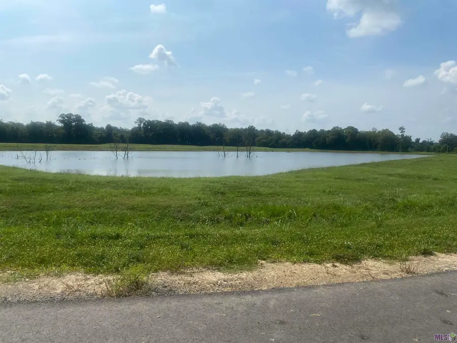 lot 24 Buddy Gore Rd, Gonzales, LA 70737 - #3