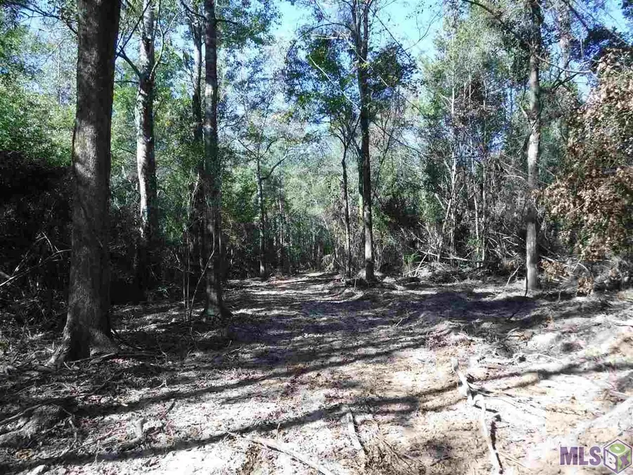 X7B La Hwy 955, Ethel, LA 70730 - #2