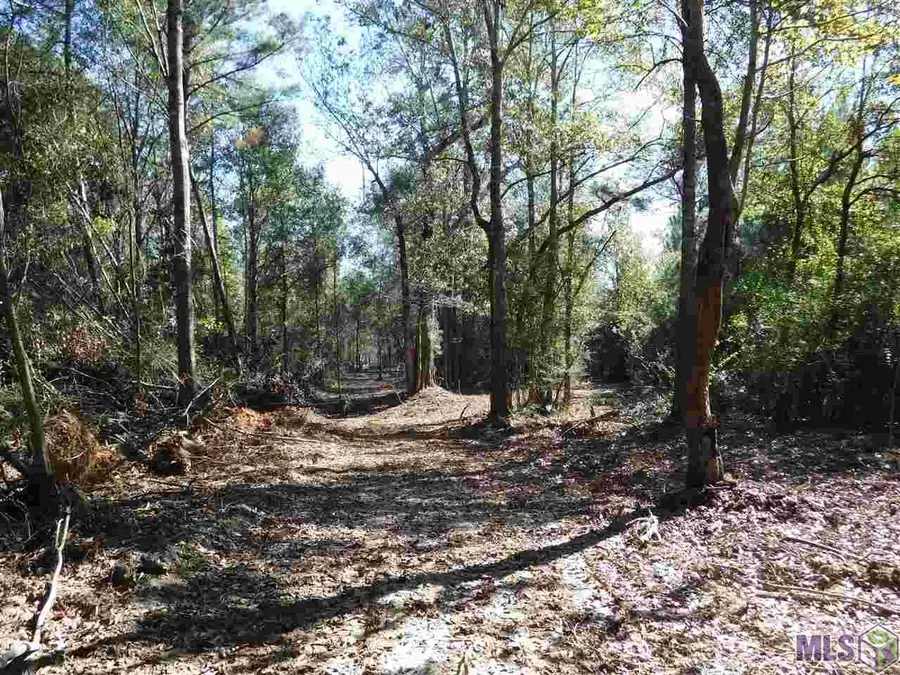 X7B La Hwy 955, Ethel, LA 70730 - #3