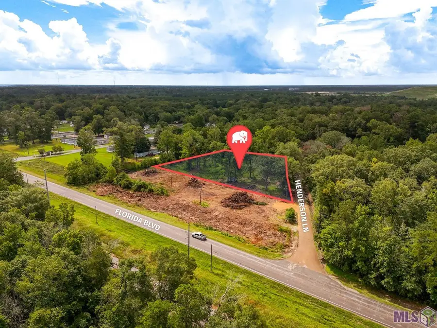 29960 Henderson Ln, Walker, LA 70785 - #2