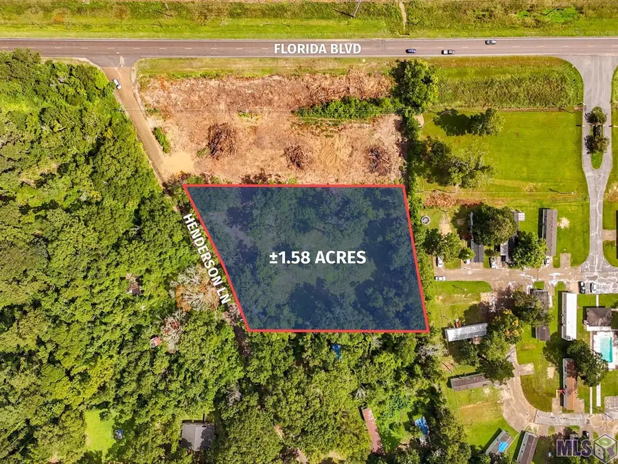 29960 Henderson Ln, Walker, LA 70785 - #3