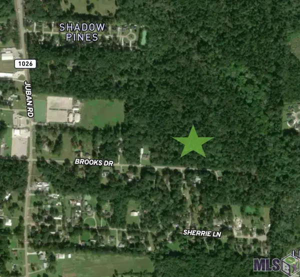 Brooks Dr, Denham Springs, LA 70726