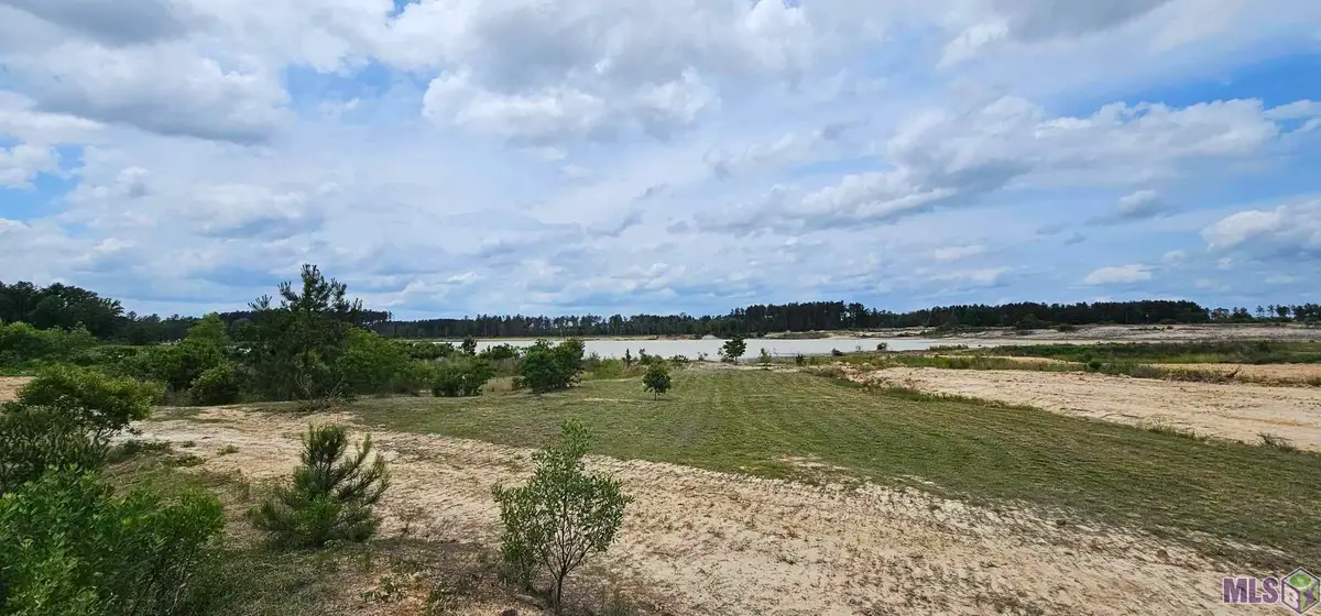 3270 Nesom Rd, Denham Springs, LA 70706 - #1