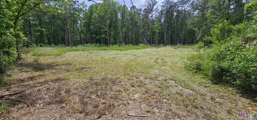 3270 Nesom Rd, Denham Springs, LA 70706 - #3